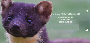 22ème FESTIVAL PHOTO ANIMALIÈRE ET NATURE (MONTIER-EN-DER) @ Montier-en-Der | Montier-en-Der | Grand Est | France