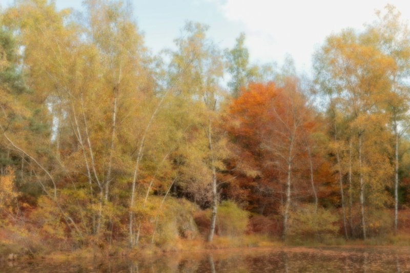 Mille étangs - style aquarelle