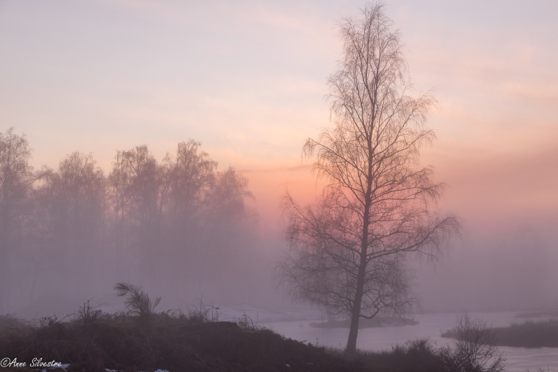 Une fin de journée aux Mille Etangs