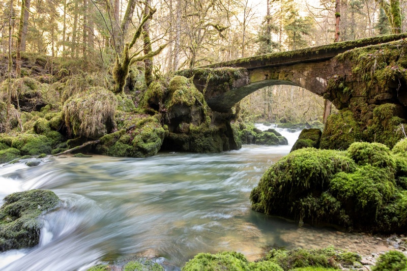 Cirque de consolation