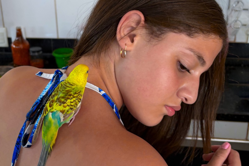 La Belle et la Bête