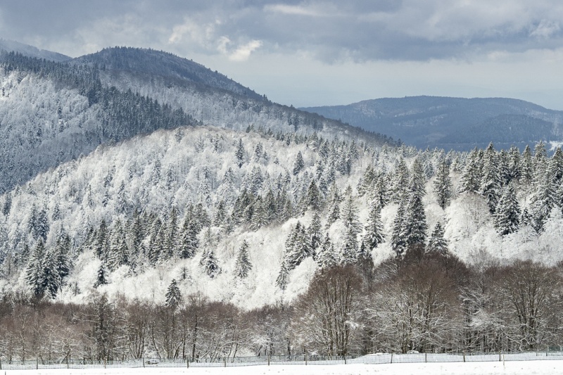 Le retour de l hiver ? (Ballon d Alsace)