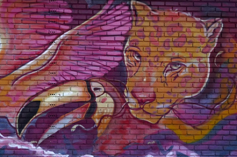 Le jaguar et le toucan