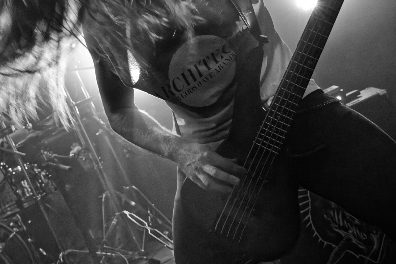 Bassiste_Gates_of_Autricon_2_light.jpg