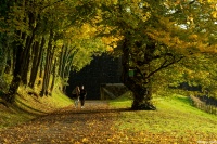 Couleur d'automne au château de Belfort